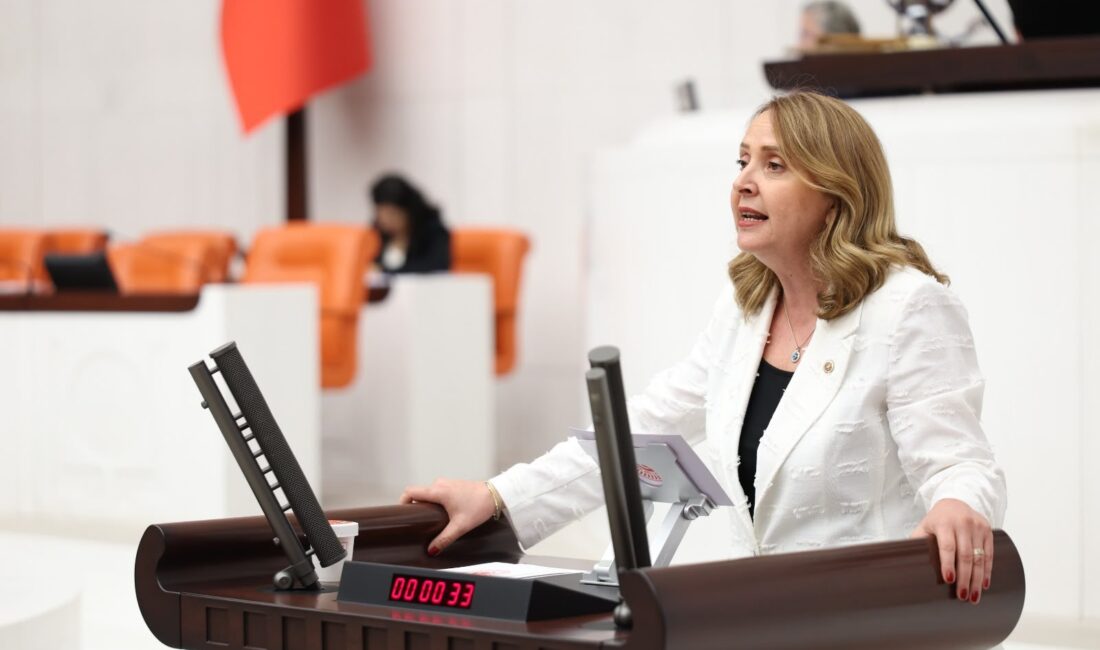 CHP’li Dinçer “Emeğin İlk Günü, İlk Sigorta Günüdür!” CHP’li Dinçer’den staj ve çırak mağdurları için Meclis’te çağrı: “Emeğin